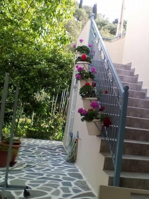 شقة Elen'S House Sívota المظهر الخارجي الصورة